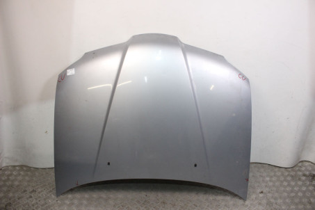 Капот Mitsubishi Outlander (CU) 2003-2008 5900A058 (1079)