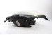 Фара правая -08 Nissan Micra (K12) 2002-2011 26010BC500 (1480)