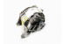 Генератор 2.5 XT WRX Subaru Impreza (GD-GG) 2000-2007 23700AA521 (3167)