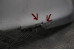 Бампер передний дефект -03 Toyota RAV-4 II 2000-2005 5211942190 (4824)