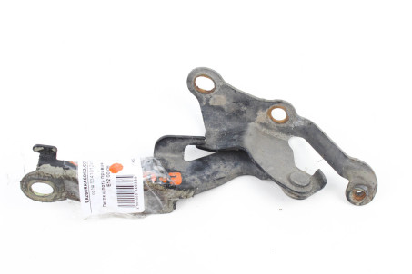 Петля капота права Toyota Corolla E12 (E120) 2000-2006 5341012410 (4938)