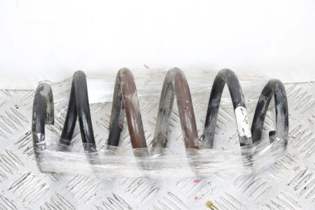 Пружина задня Toyota RAV-4 III 2005-2012 4823142180 (6905) L-296