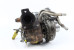 Турбина 2.0 Nissan Qashqai (J10) 2007-2014 7730870002 (12893)