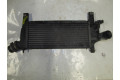 Радіатор інтеркулера Nissan Navara (D40) 2005-2013 14461EB360 (15783)