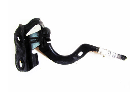 Петля капота правая Lexus CT 200H 2010-2017 5341076030 (21203)