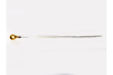 Щуп двигателя 1.8 Lexus CT 200H 2010-2017 1530137010 (21876)