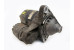 Стартер 1.8 Nissan Almera (N16) 2000-2006 223009F661 (22073)