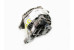 Генератор 2.0 Subaru Forester (SH) 2008-2012 23700AA521 (22362)