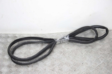 Ущільнювач двері передньої лівої Honda Accord Coupe (CS) 2007-2012 72350TE0A01 (25492)