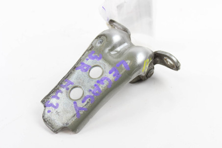 Петля двери задней правой низ Subaru Outback (BS/BN) 2014-2020 60479AL02A (31519)