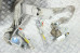 Подушки безопасности комплект Subaru Outback (BR) USA 2009-2014 98221AJ07A (33067)