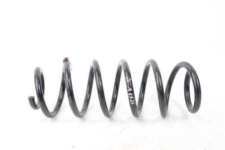 Пружина задня Toyota RAV-4 V 2018- 4823142520 (34461)