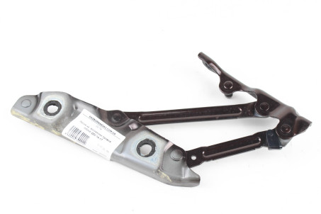 Петля кр. багажника правая Infiniti Q50 (V37) 2014-2020 844001MA0A (39902)