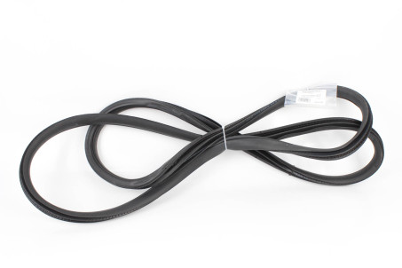 Ущільнювач двері задньої правої Honda Accord (CV) 2018- 72815TVAA01 (41123)