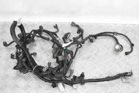 Проводка двигателя 2.0 Mitsubishi Outlander Sport 2011-2022 USA 8501B905 (43017)