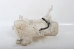 Бачок омывателя Mazda 6 (GJ/GL) 2012-2023 GHR167481 (53743)