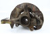 Кулак поворотний правий під ABS Toyota Scion TC Coupe 2004-2007 USA 4321121040 (53873)