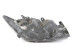 Фара ліва Toyota Scion TC Coupe 2004-2010 USA 8117021130 (53931)