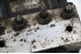 Блок ABS 1.8 МКПП -12 Toyota Avensis T27 (T270) 2009-2018 4454005070 (58302)