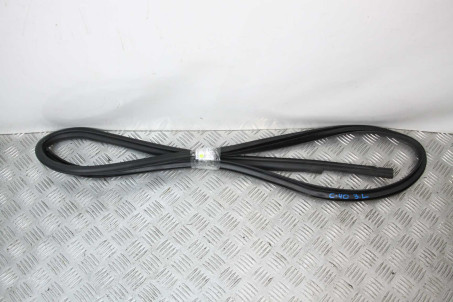 Ущільнювач двері задньої лівої Toyota Camry 40 (XV40) 2006-2011 6233233090B0 (60183)