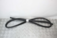 Ущільнювач двері задньої правої Toyota Camry 40 (XV40) 2006-2011 6233133090B0 (60184)