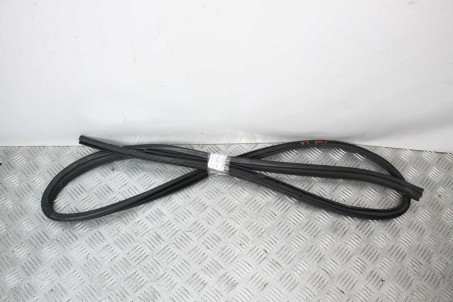 Ущільнювач двері задньої правої Toyota Camry 40 (XV40) 2006-2011 6233133090B0 (60184)