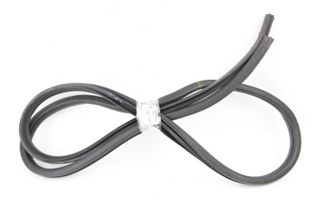 Ущільнювач двері задньої правої Kia Optima (TF) 2010-2016 831202T000 (60856)