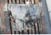Коробка передач МКПП 2.0-2.5 Nissan X-Trail (T30) 2002-2007 320108H500 (66604)