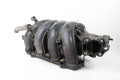 Коллектор впускний пластик під газ 2.0 Toyota RAV-4 II 2000-2005  (100206)