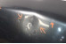 Капот небольшой дефект Nissan X-Trail (T31) 2007-2012 F5100JG0MM (10061221)