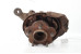 Цапфа задняя левая дефект Nissan X-Trail (T30) 2002-2007 430198H300 (10061236)