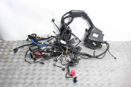 Блок предохранителей 2.0 Hyundai Santa Fe (TM) 2018-2023 91959S1000 (10061688)