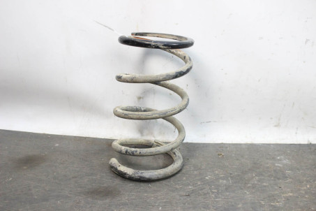 Пружина задняя Toyota RAV-4 II 2000-2005 4823142110 (10062106)