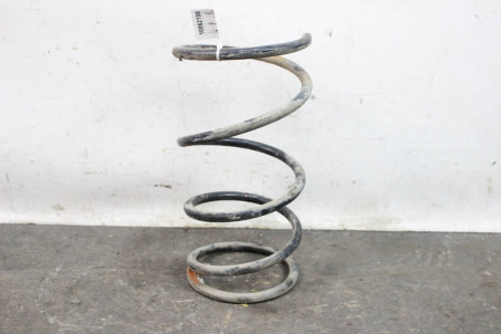 Пружина передняя TDI Toyota RAV-4 II 2000-2005 4813142260 (10062108)