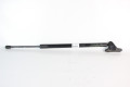 Амортизатор крышки багажника правый Toyota RAV-4 V 2018- 689500R060 (10062632)
