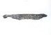 Пильовик переднього крила правий Toyota RAV-4 V (XA50) 2018-2025 5382742060 (10062667)