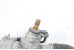Рейка рульова Hybrid Lexus RX (XU30) 2003-2008 4420048133 (10063265)