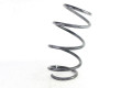 Пружина передня Lexus UX (ZA10) 2018- 4813176100 (101241)