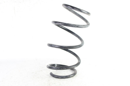 Пружина передня Lexus UX (ZA10) 2018- 4813176100 (101241)