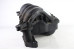 Коллектор впускной пластик 1.4 Hyundai I30 (GD) 2012-2017 283112B300 (101693)