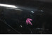 Капот Nissan X-Trail (T31) 2007-2012 F5100JG0MM (10491)
