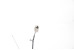 Антена Nissan X-Trail (T31) 2007-2012 28208JG400 (13480)