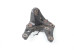 Кронштейн подушки двигателя передний 2.5 USA Toyota Camry 50 (XV50) 2011- 123110V160 (29555)