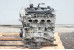 Двигатель без навесного оборудования 2.5 QR25DE 17- Nissan X-Trail (T32-Rogue) 2014-2021 101025HK0F (29736)