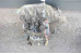 Коробка передач АКПП 1.6 робот C50A Toyota Corolla E15 (E150) 2007-2013 3034012020 (59284)