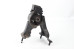 Подушка мотора задняя 2.4 Toyota Scion TC Coupe 2004-2010 USA 1237128111 (61416)