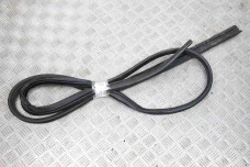 Ущільнювач двері задньої лівої Nissan Qashqai (J10) 2007-2014 82831JD000 (61764)