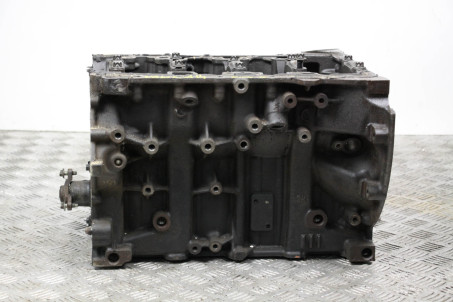 Блок двигателя 2.0 Diesel Nissan Qashqai (J10) 2007-2014 M9R (62250)