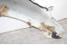 Крило переднє ліве дефект -03 Toyota RAV-4 II 2000-2005 5381242150 (78948)