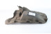 Пильовик заднього бампера лівий Toyota Corolla E15 (E150) 2007-2013 5259212120 (8124)